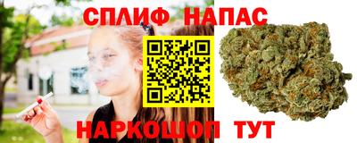 гашик Нягань