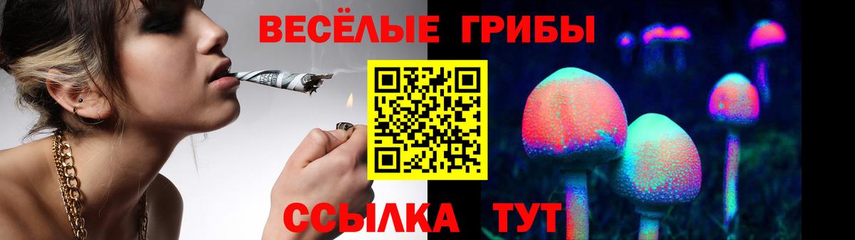 Псилоцибиновые грибы MAGIC MUSHROOMS Артёмовский